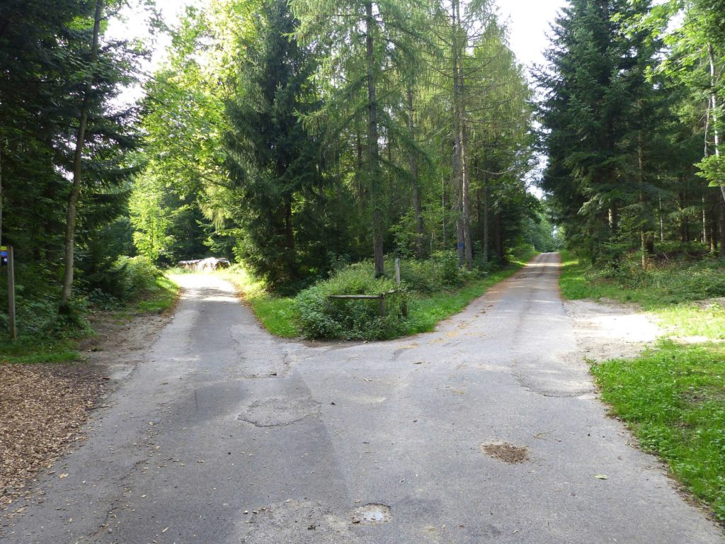 chalet-a-gobet-clochatte-106