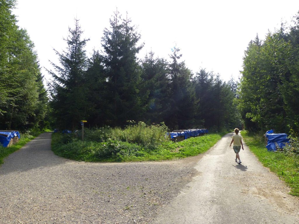 chalet-a-gobet-clochatte-107