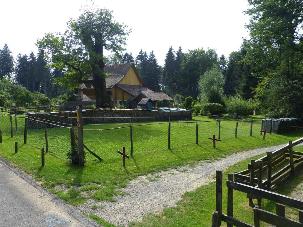 chalet-a-gobet-clochatte-109