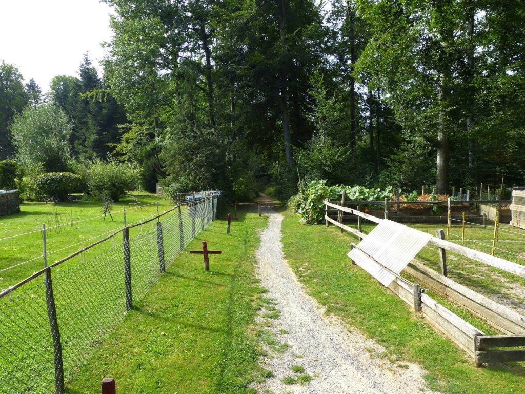 chalet-a-gobet-clochatte-112