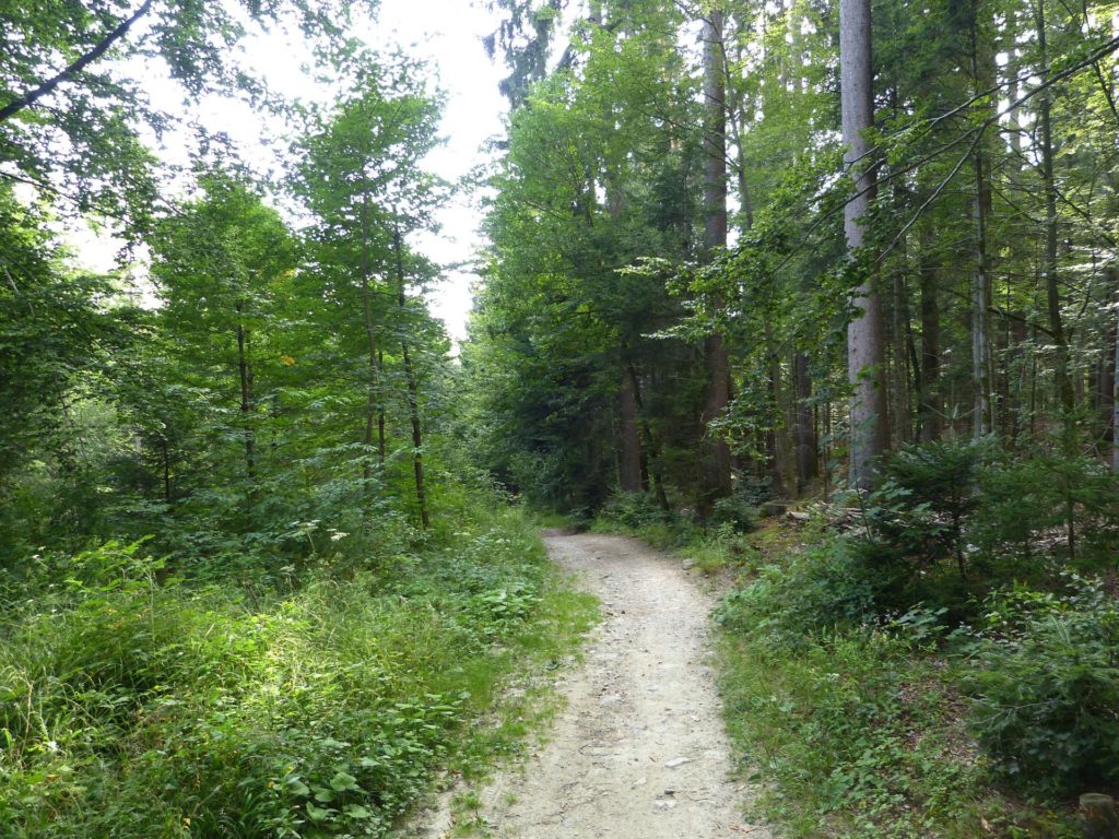 chalet-a-gobet-clochatte-120