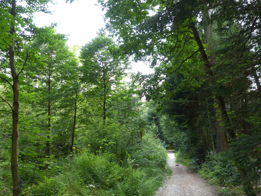 chalet-a-gobet-clochatte-121