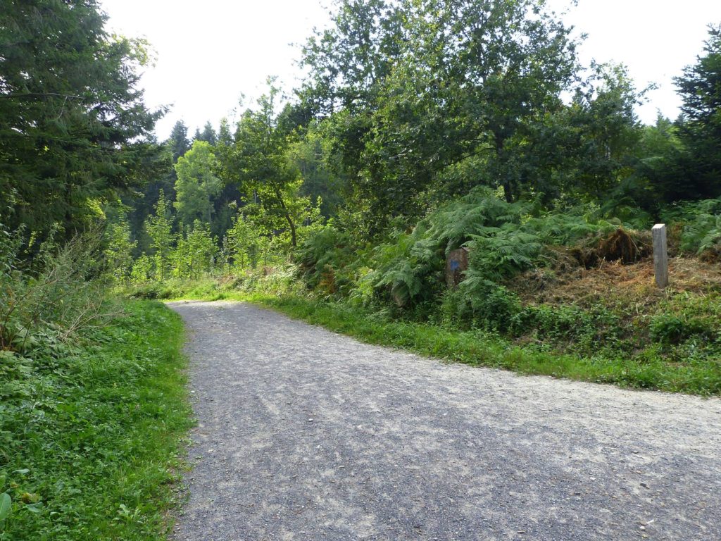 chalet-a-gobet-clochatte-124