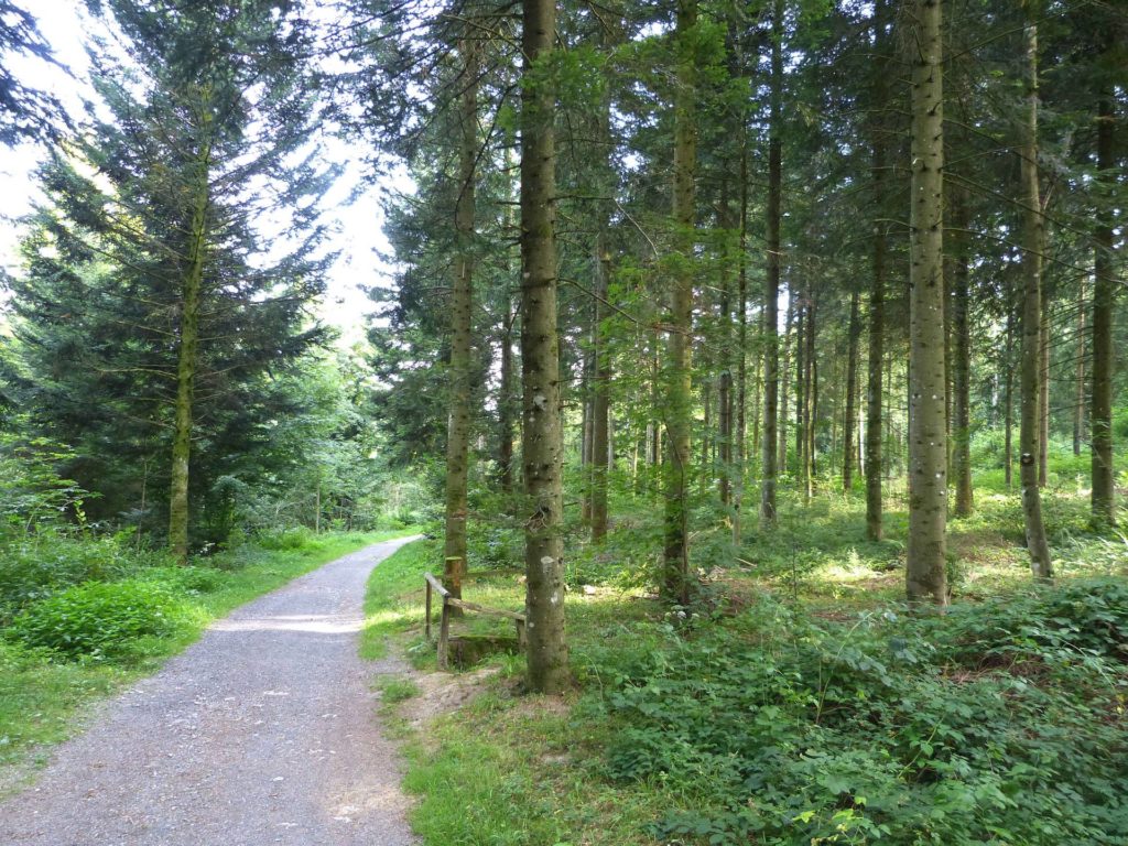 chalet-a-gobet-clochatte-128