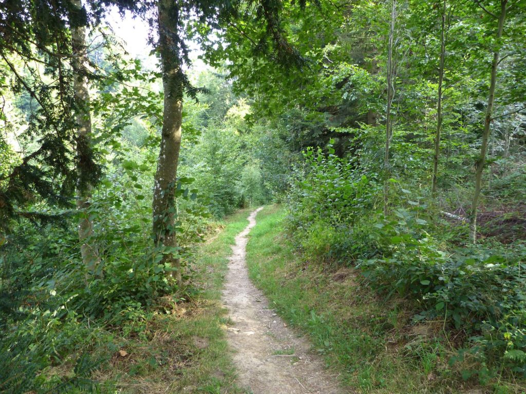 chalet-a-gobet-clochatte-130