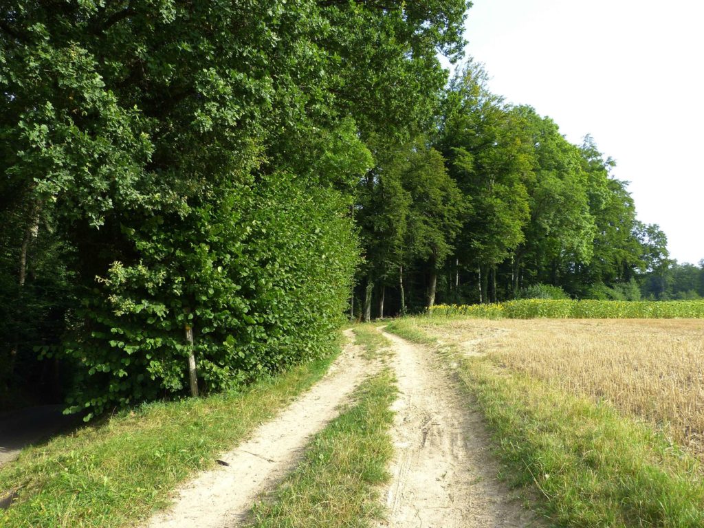 chalet-a-gobet-clochatte-134