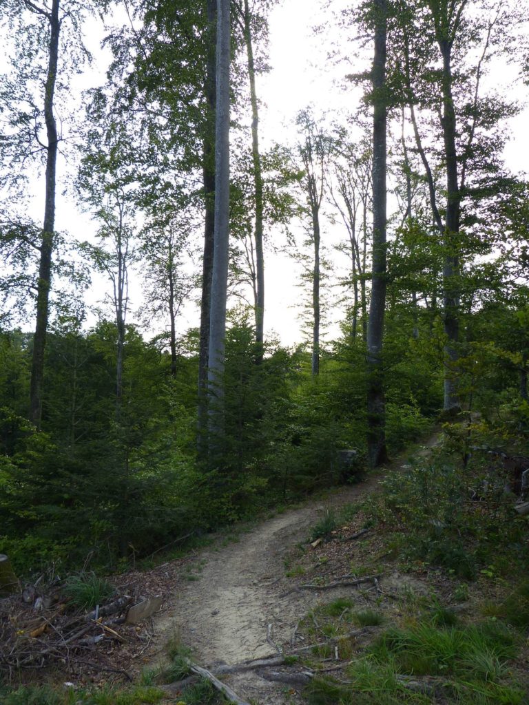 chalet-a-gobet-clochatte-135