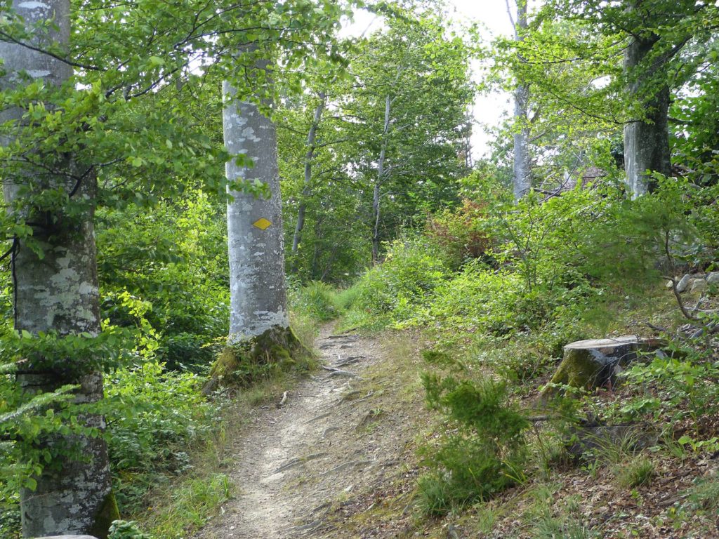 chalet-a-gobet-clochatte-137