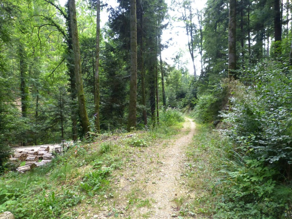 chalet-a-gobet-clochatte-140