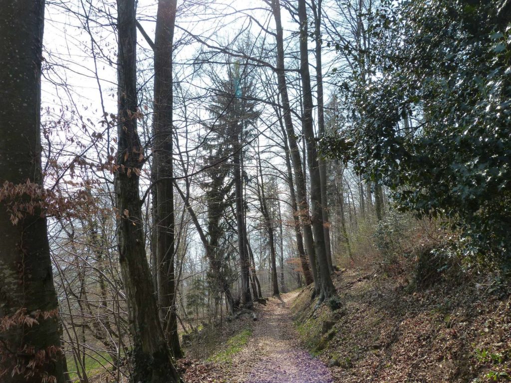 Châtel St-Denis Les Chaux Moille-Saulaz Grenive Nant Vevey