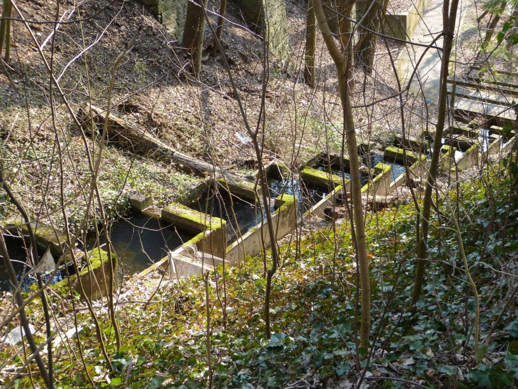 Châtel St-Denis Les Chaux Moille-Saulaz Grenive Nant Vevey