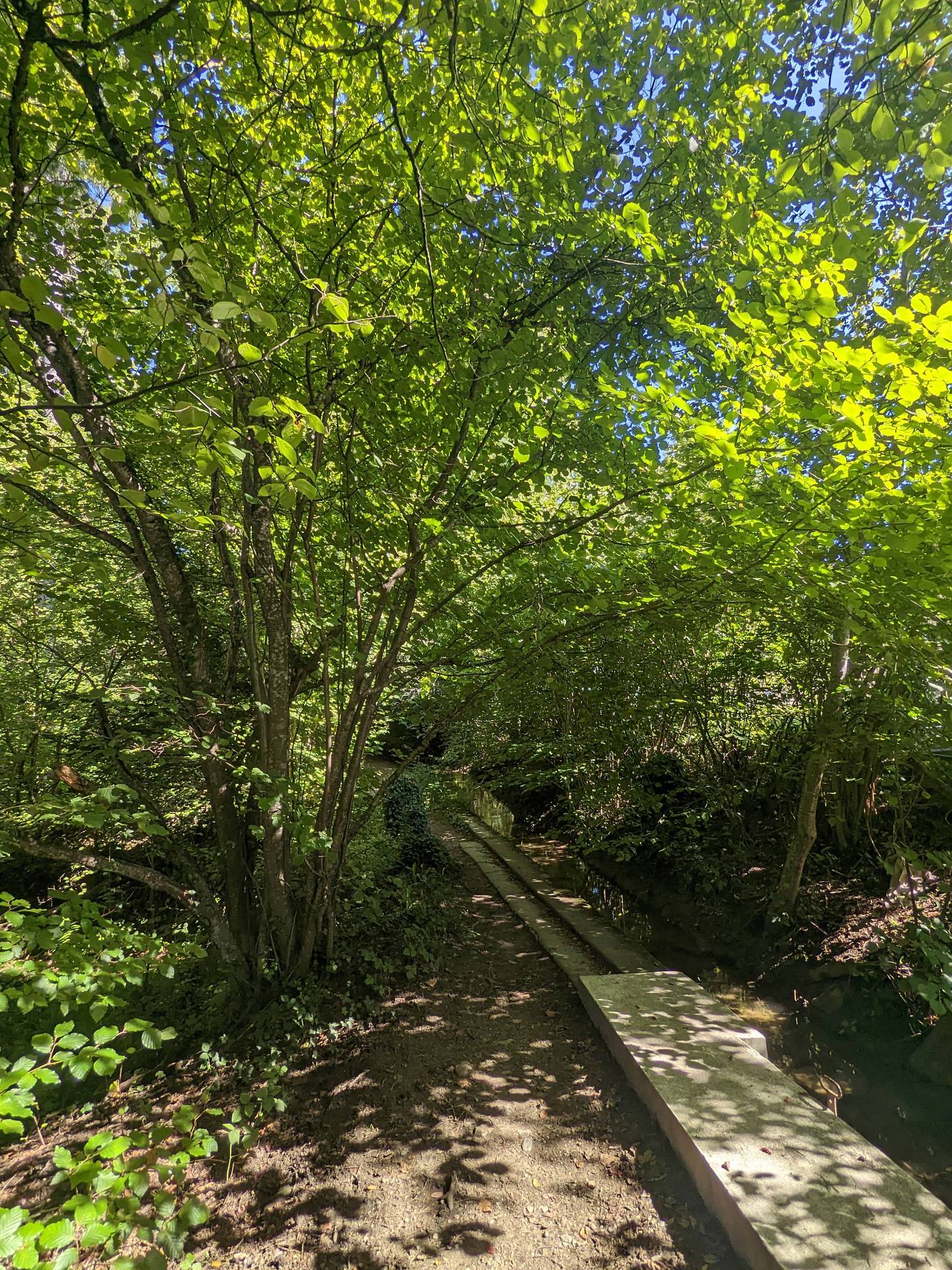 cugy-moulin-la-rusteriaz-froideville-100
