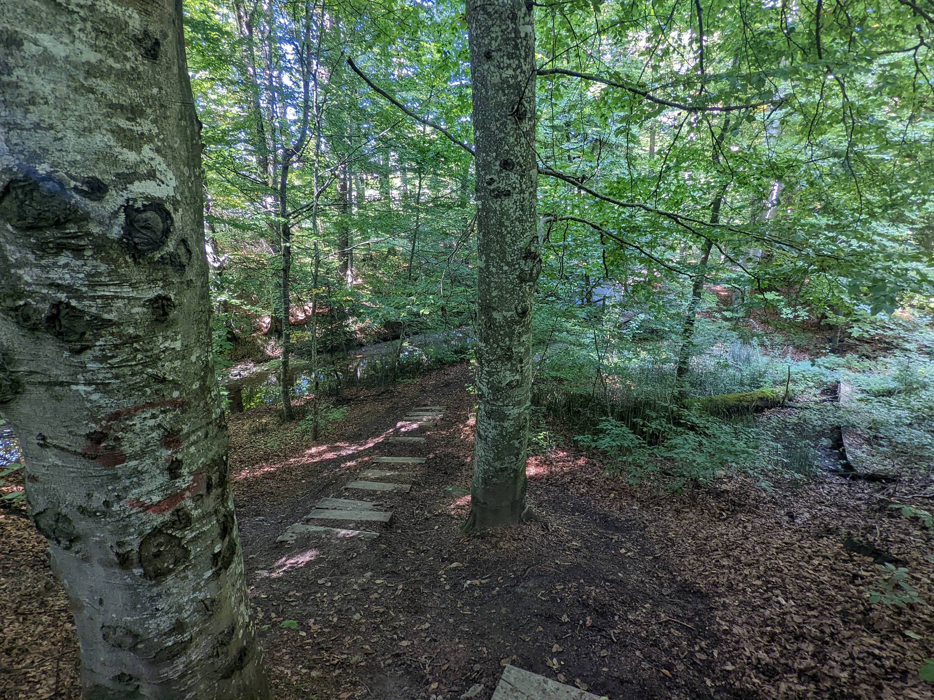 cugy-moulin-la-rusteriaz-froideville-102