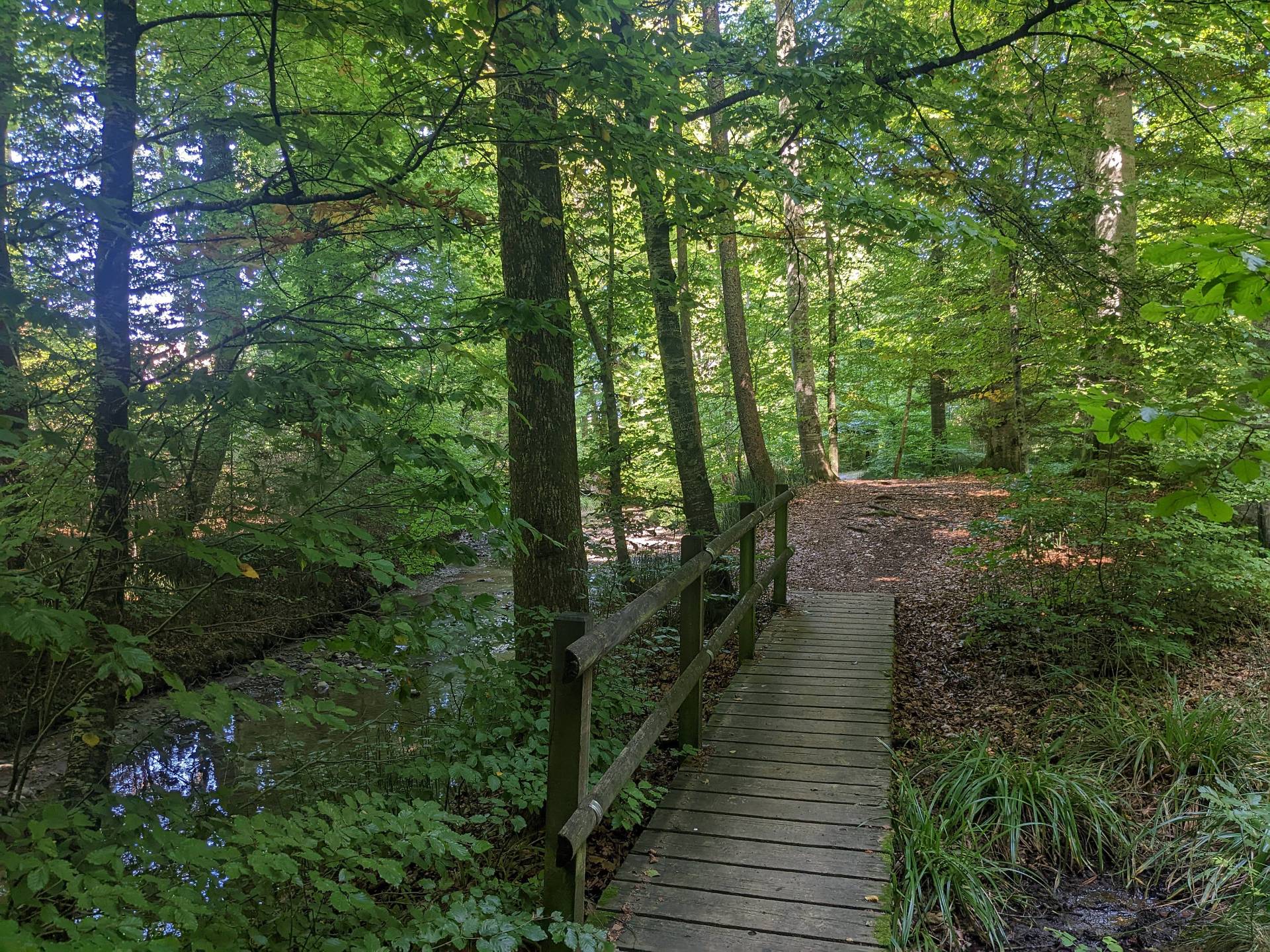 cugy-moulin-la-rusteriaz-froideville-103
