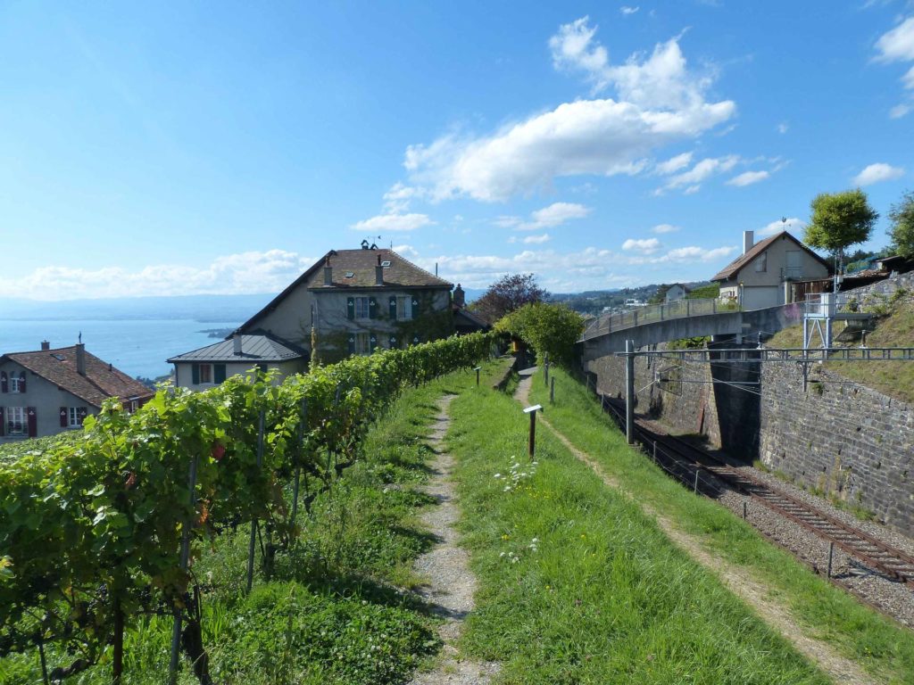 Grandvaux-gare Le Chaney Bossières La Conversion Pully Les Moulins
