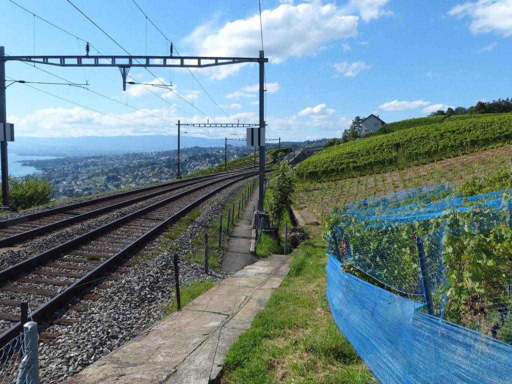 Grandvaux-gare Le Chaney Bossières La Conversion Pully Les Moulins