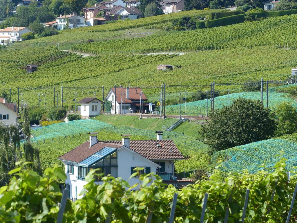 Grandvaux-gare Le Chaney Bossières La Conversion Pully Les Moulins