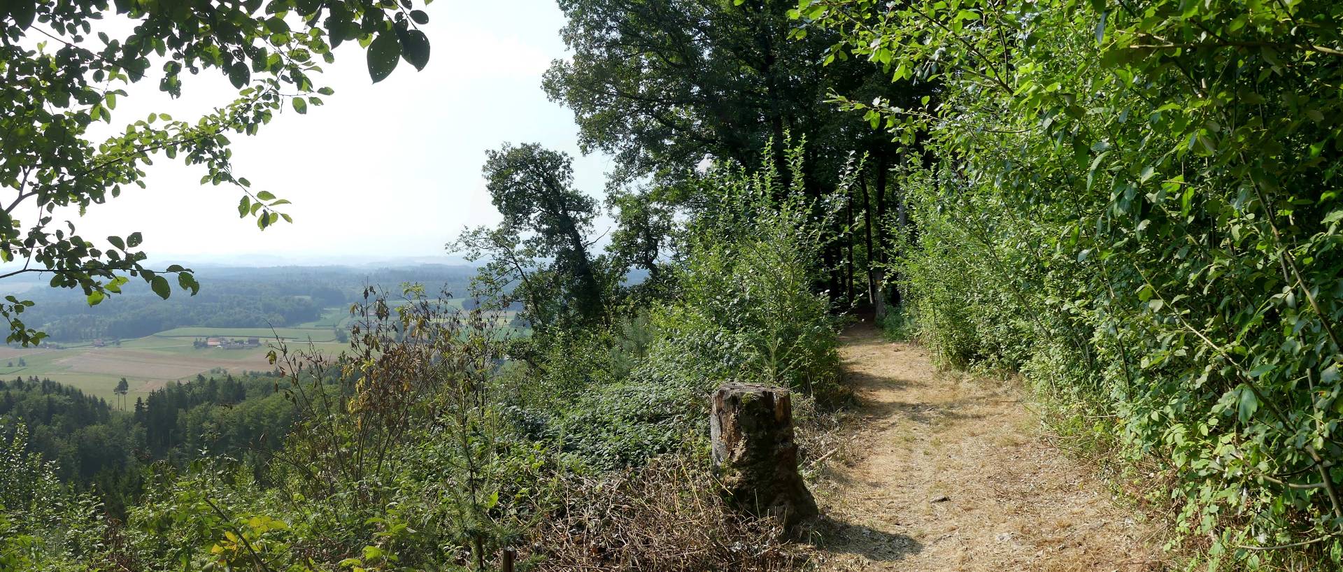 Heggidorn - Thörishaus