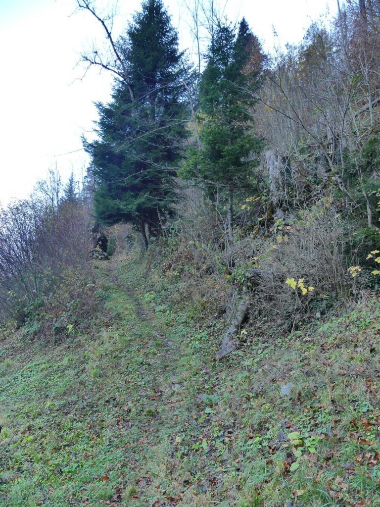 jor-col-de-soladier-plan-de-chatel-sonloup-102