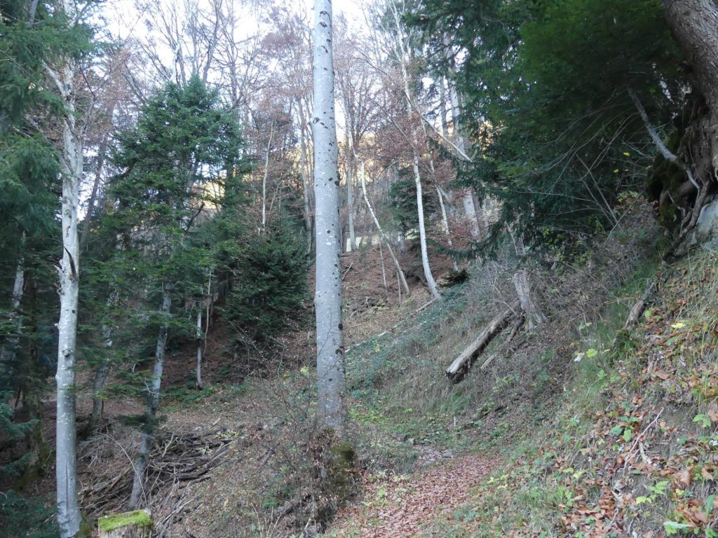 jor-col-de-soladier-plan-de-chatel-sonloup-104
