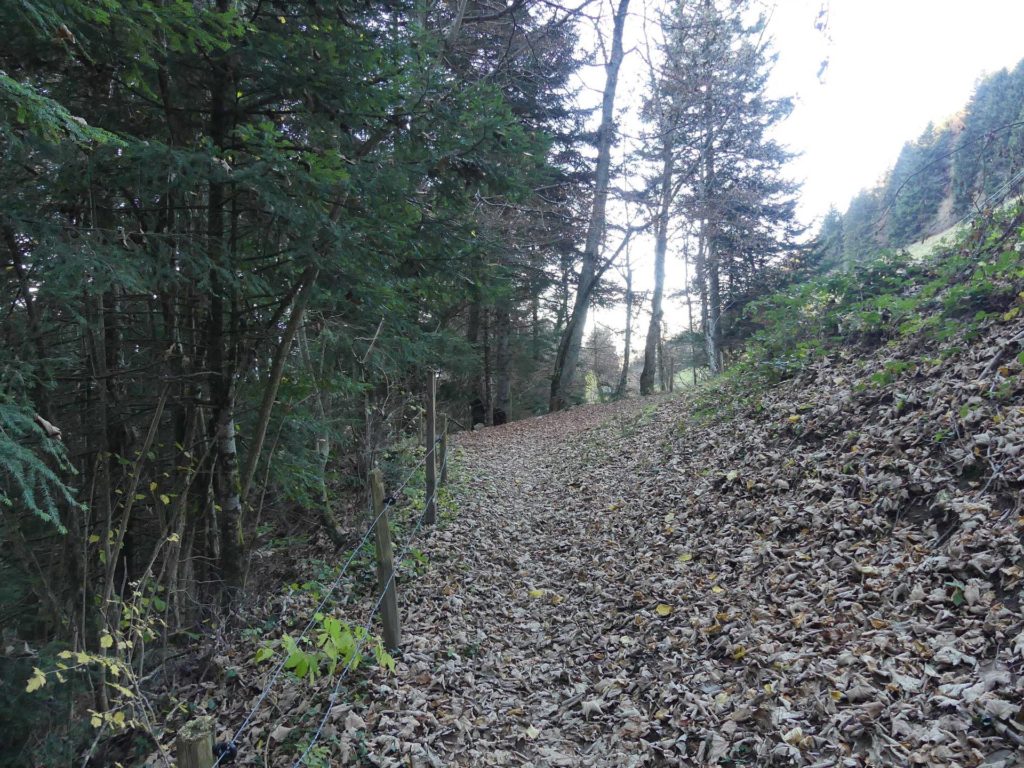 jor-col-de-soladier-plan-de-chatel-sonloup-105