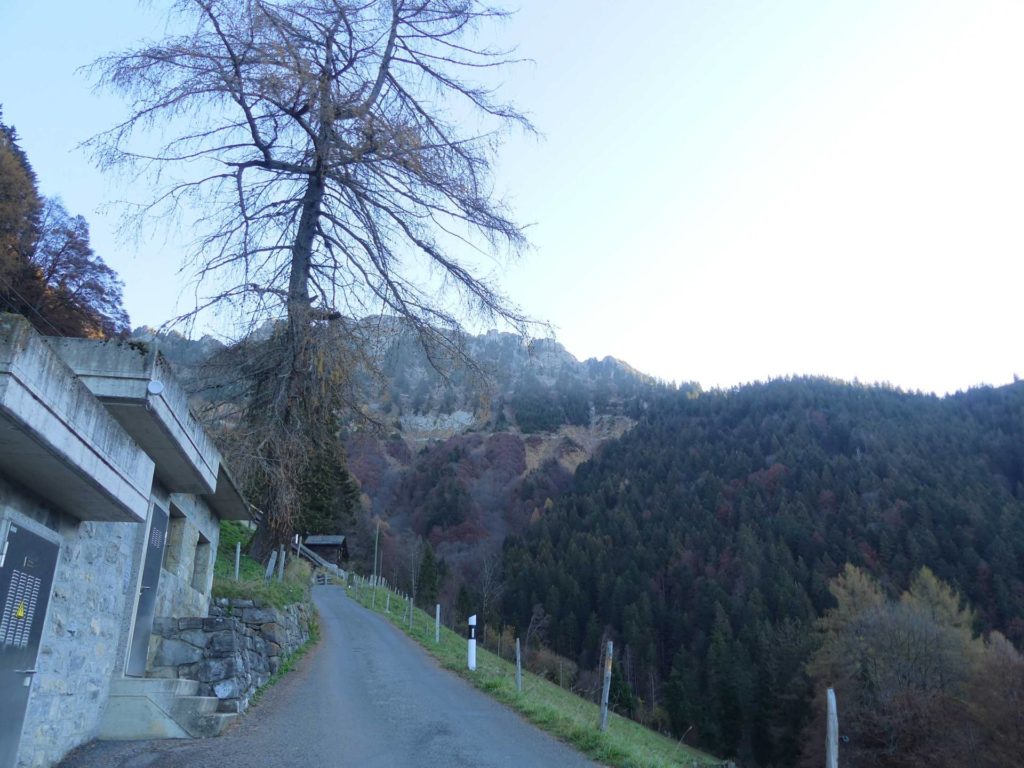 jor-col-de-soladier-plan-de-chatel-sonloup-108