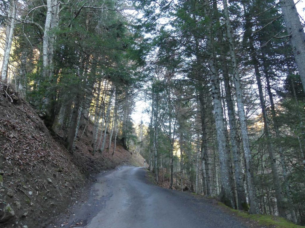 jor-col-de-soladier-plan-de-chatel-sonloup-112