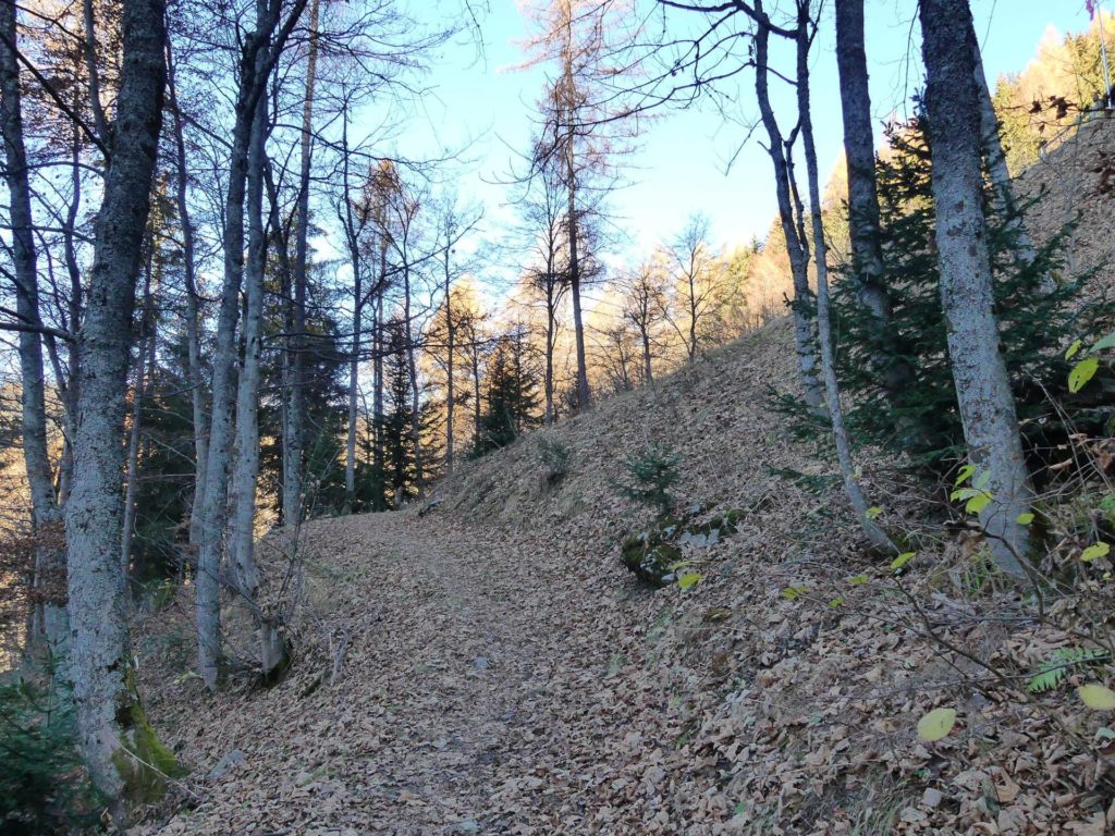 jor-col-de-soladier-plan-de-chatel-sonloup-122