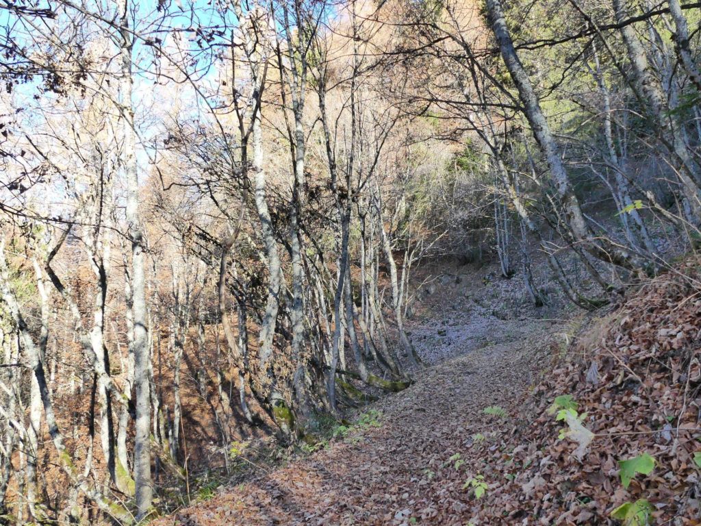 jor-col-de-soladier-plan-de-chatel-sonloup-124