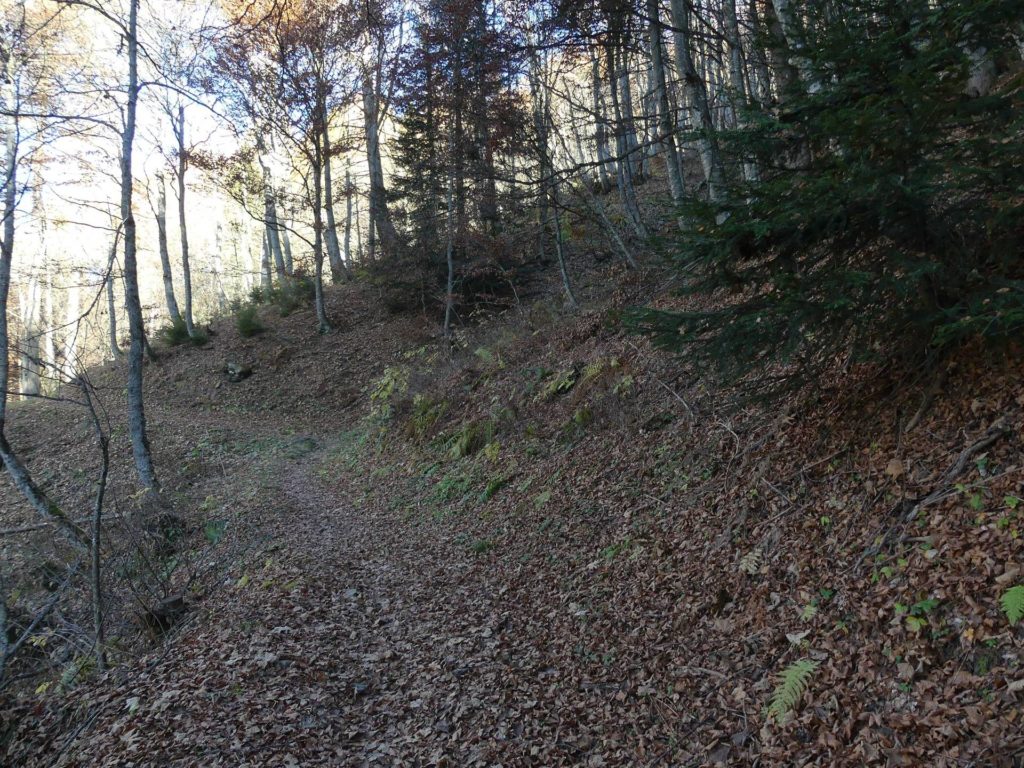jor-col-de-soladier-plan-de-chatel-sonloup-127