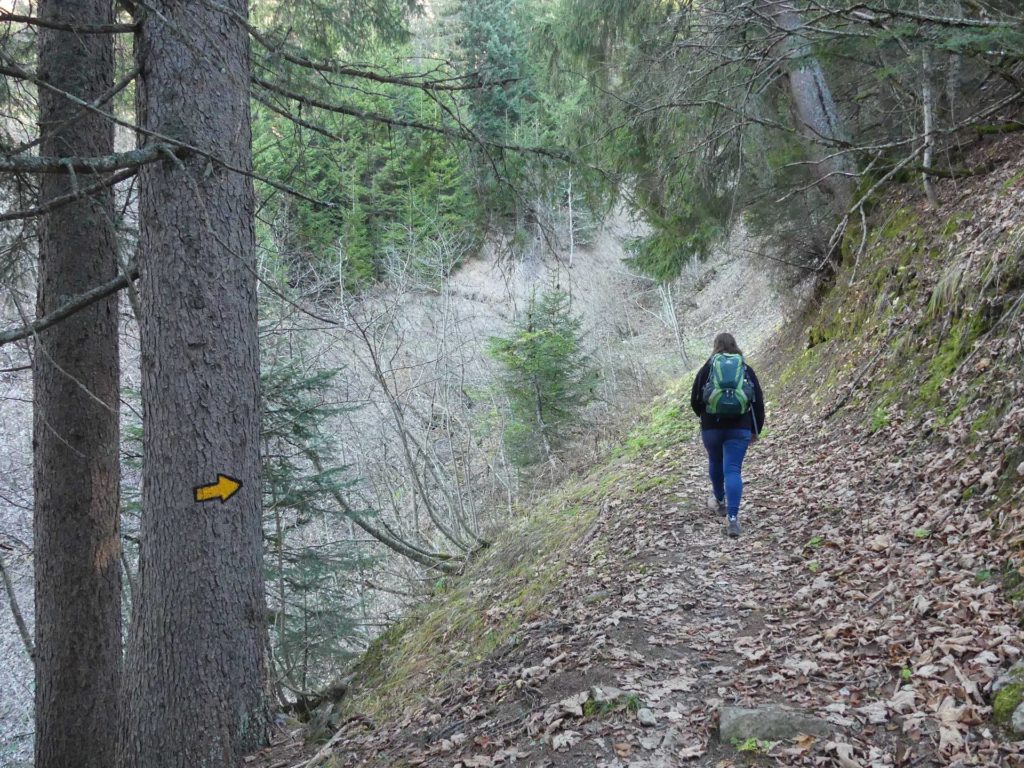 jor-col-de-soladier-plan-de-chatel-sonloup-128