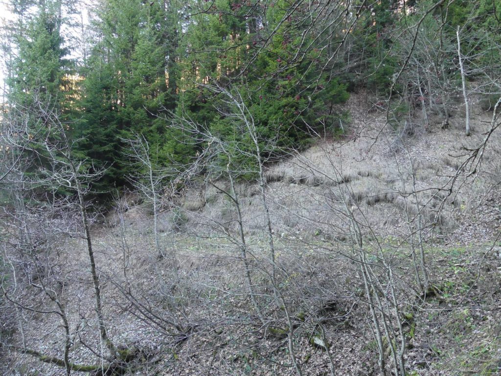 jor-col-de-soladier-plan-de-chatel-sonloup-129