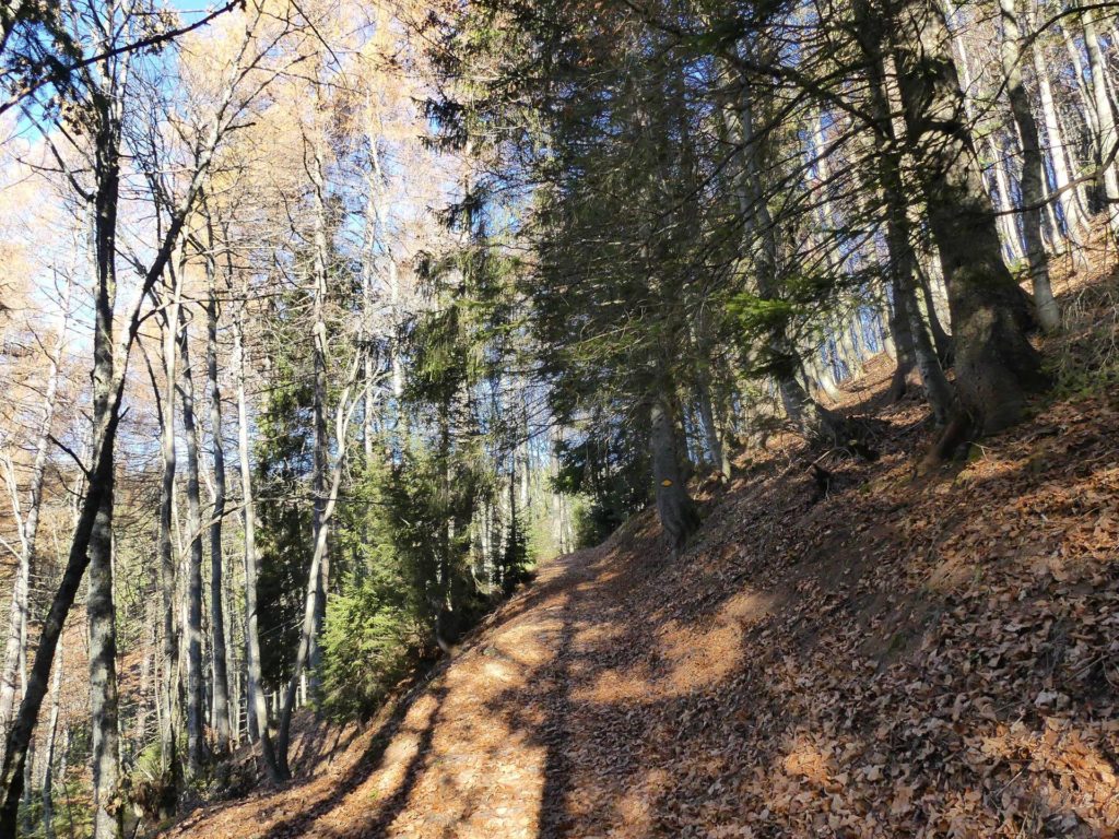 jor-col-de-soladier-plan-de-chatel-sonloup-130