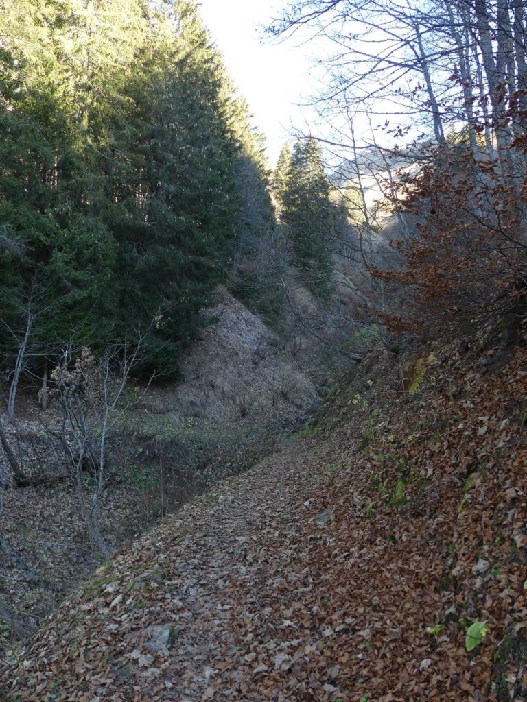 jor-col-de-soladier-plan-de-chatel-sonloup-131
