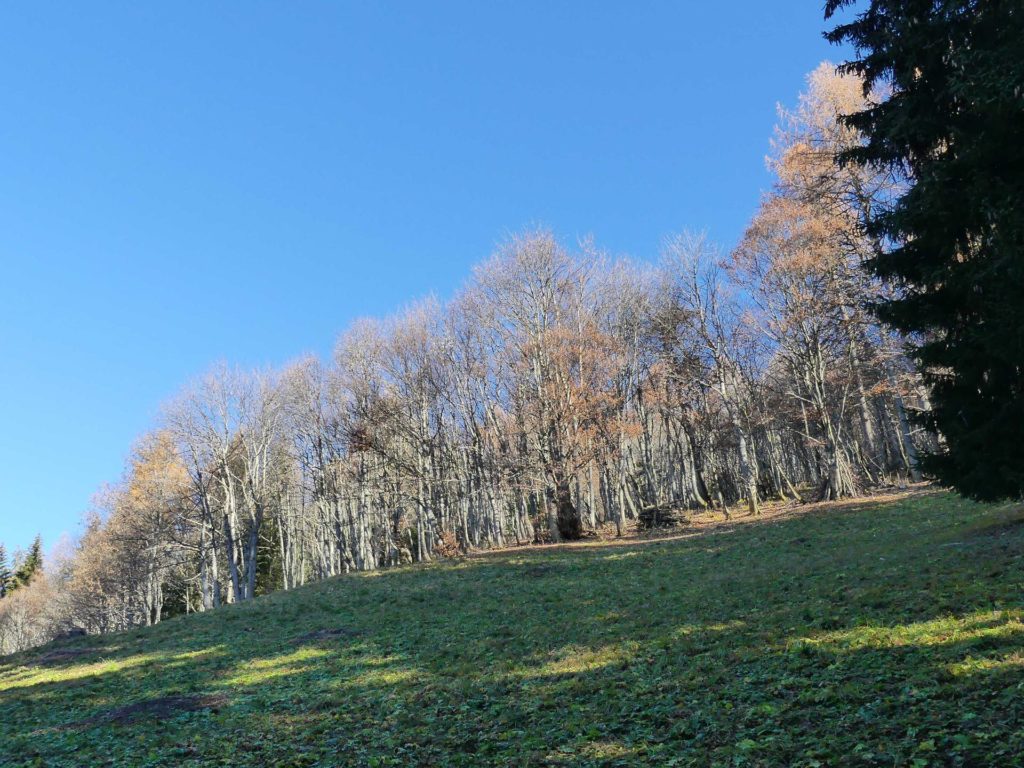 jor-col-de-soladier-plan-de-chatel-sonloup-132