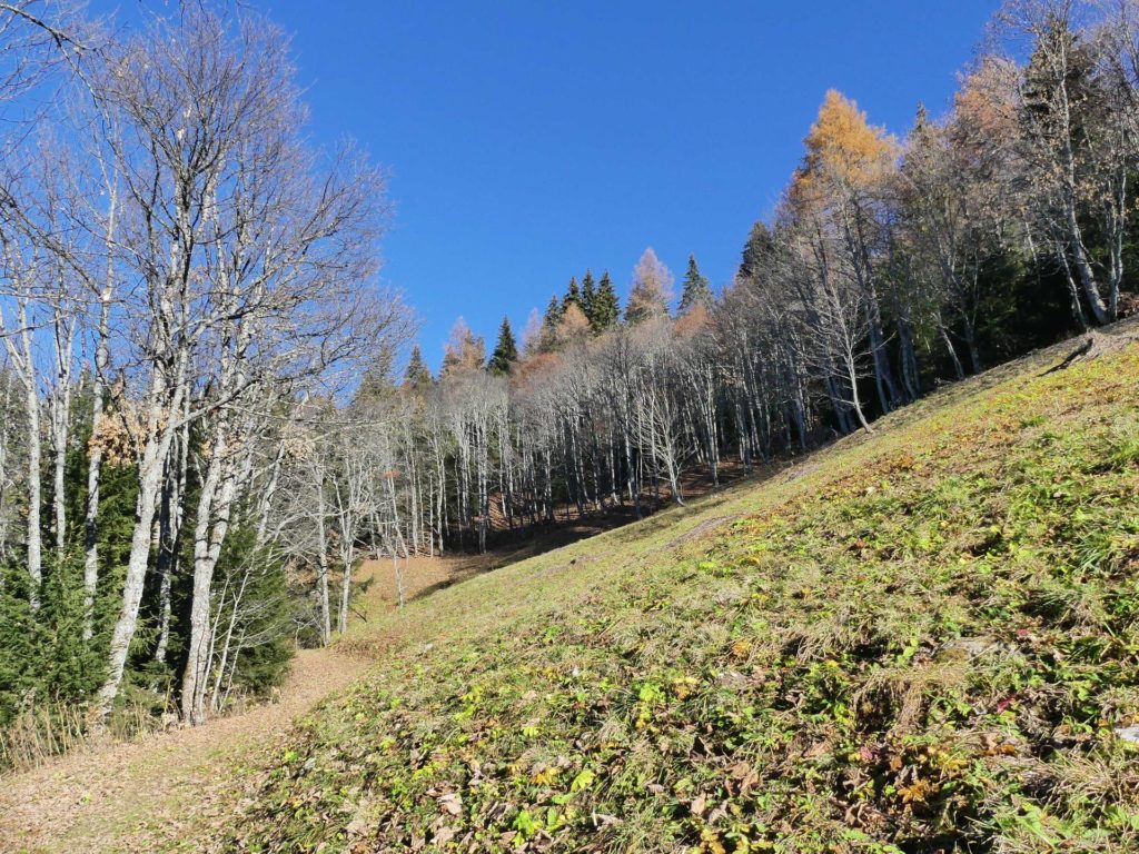 jor-col-de-soladier-plan-de-chatel-sonloup-133