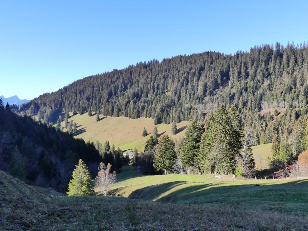 jor-col-de-soladier-plan-de-chatel-sonloup-137