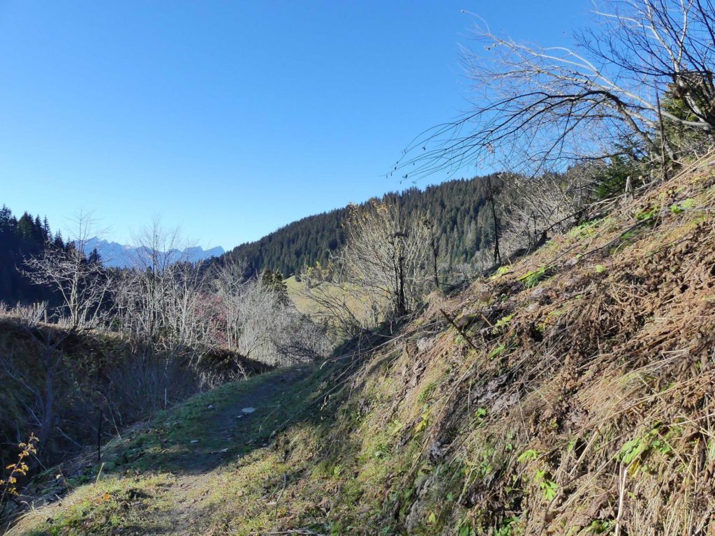 jor-col-de-soladier-plan-de-chatel-sonloup-139