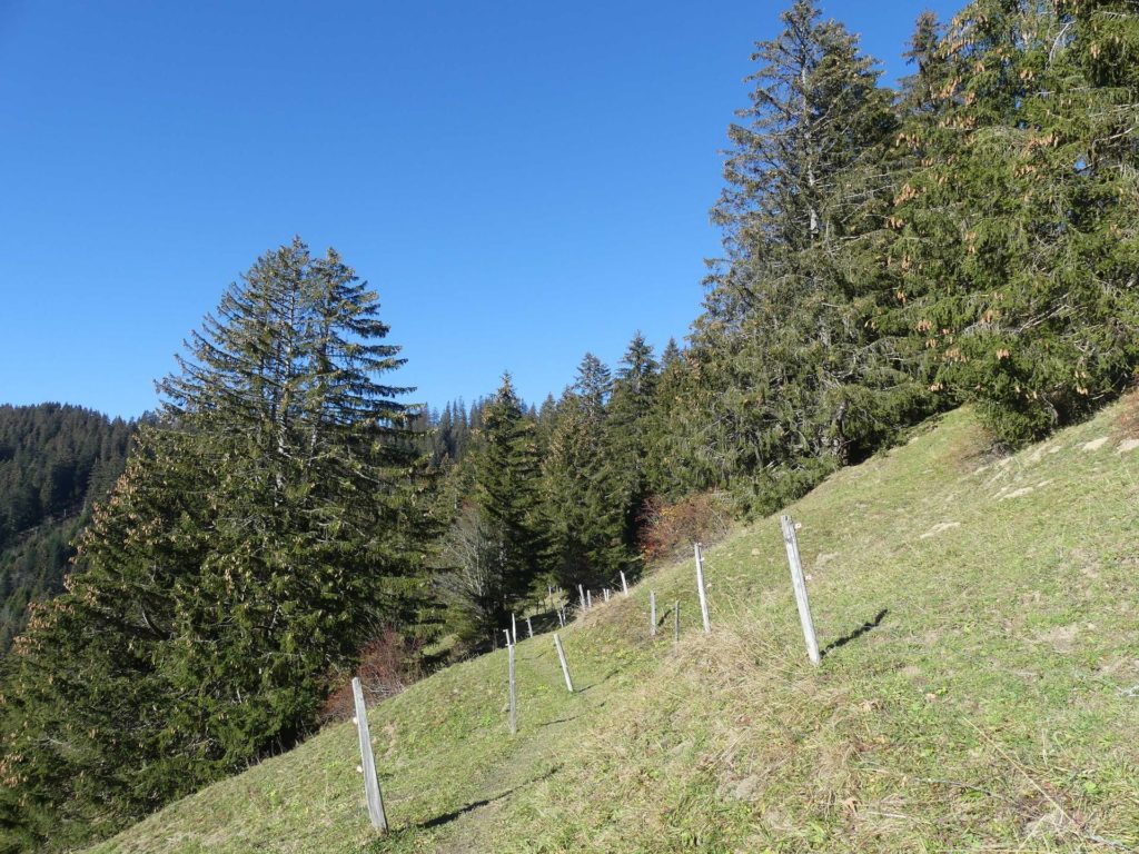jor-col-de-soladier-plan-de-chatel-sonloup-141