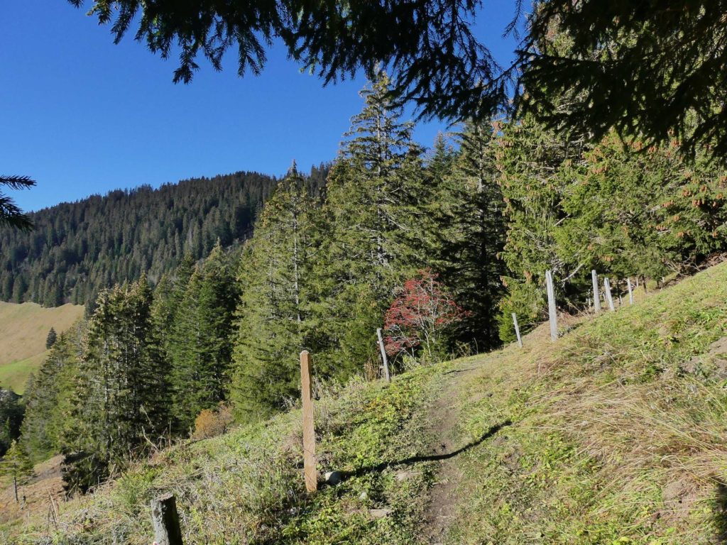 jor-col-de-soladier-plan-de-chatel-sonloup-142