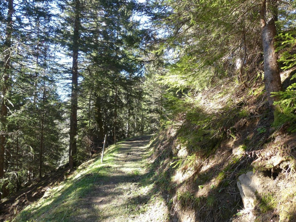 jor-col-de-soladier-plan-de-chatel-sonloup-144