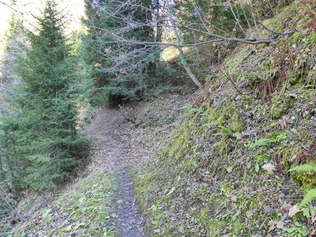 jor-col-de-soladier-plan-de-chatel-sonloup-146