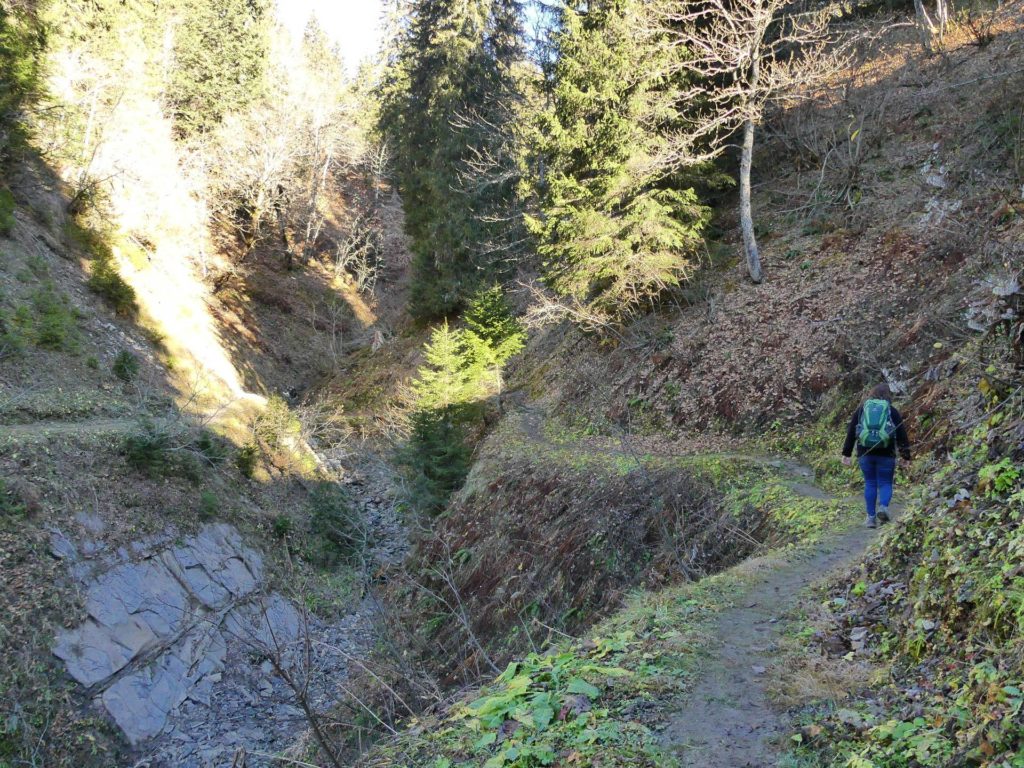 jor-col-de-soladier-plan-de-chatel-sonloup-147