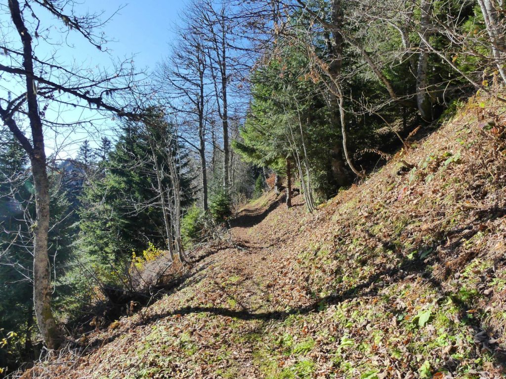 jor-col-de-soladier-plan-de-chatel-sonloup-149