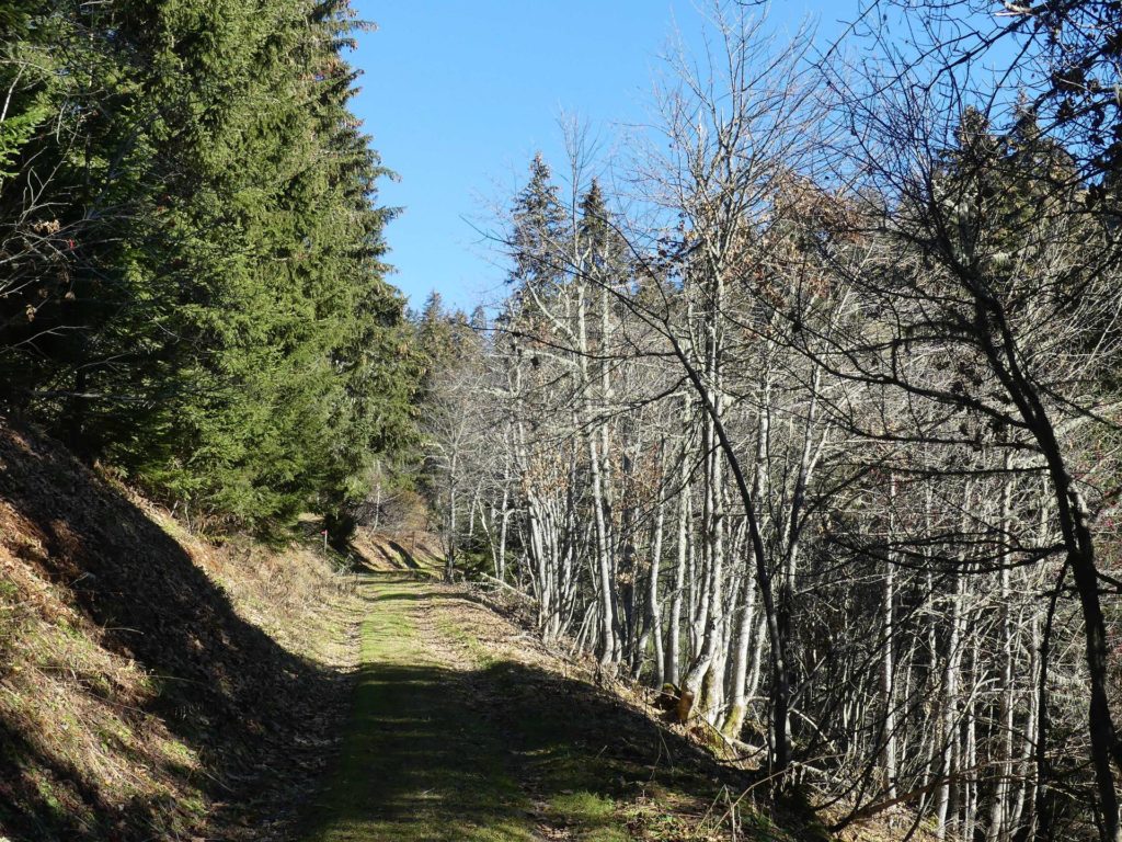 jor-col-de-soladier-plan-de-chatel-sonloup-152