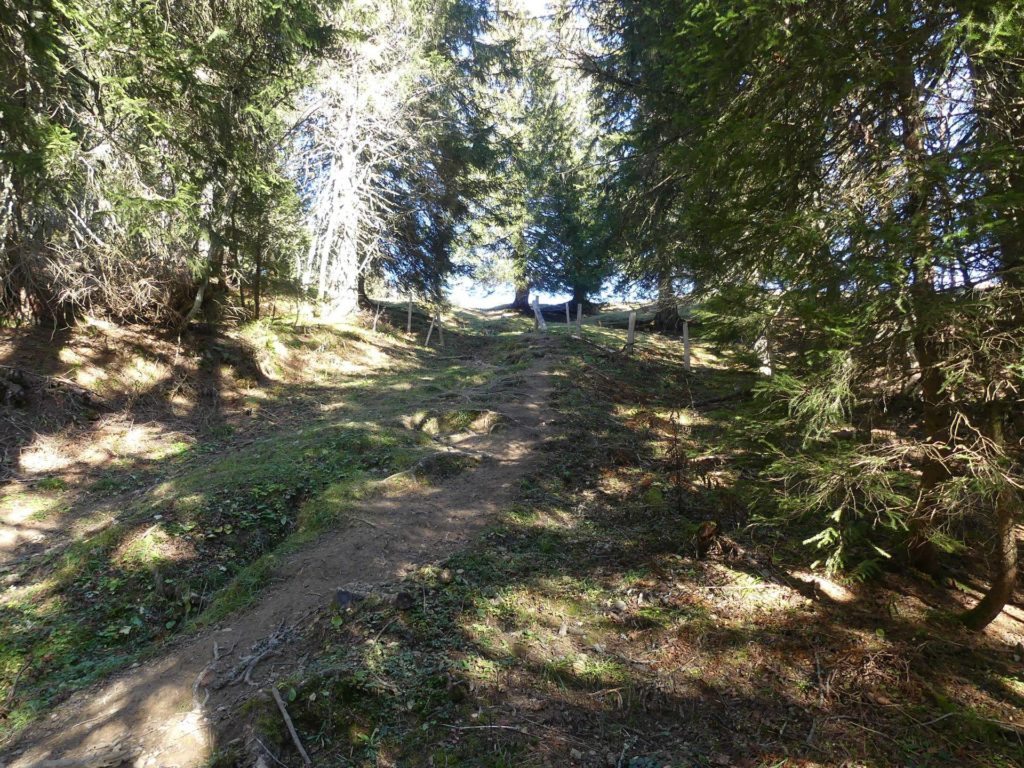 jor-col-de-soladier-plan-de-chatel-sonloup-153