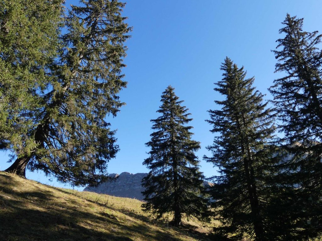 jor-col-de-soladier-plan-de-chatel-sonloup-154