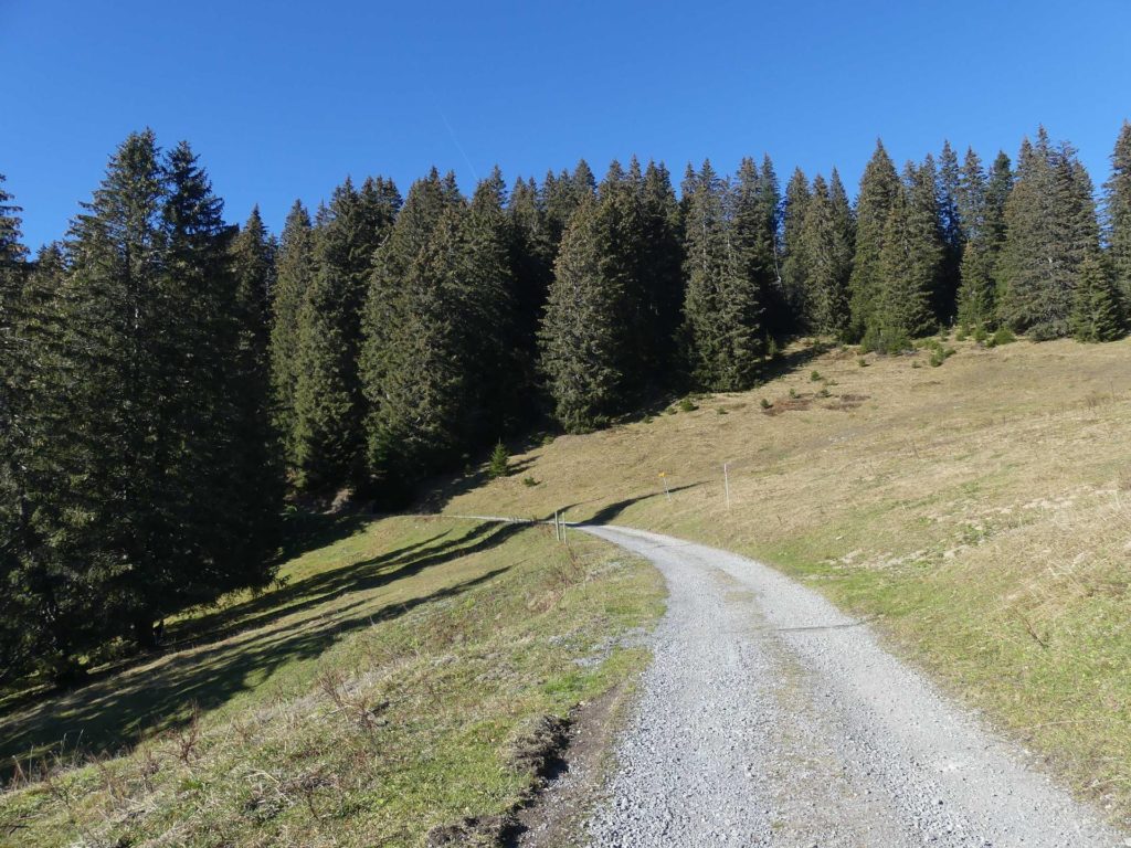 jor-col-de-soladier-plan-de-chatel-sonloup-157