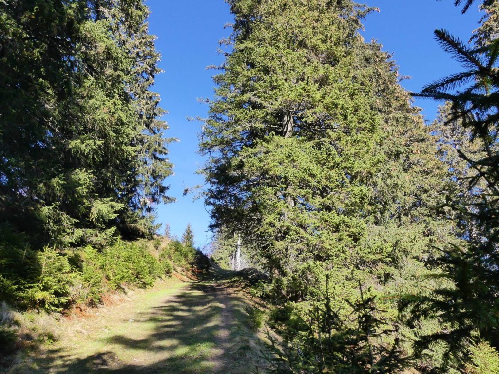 jor-col-de-soladier-plan-de-chatel-sonloup-162