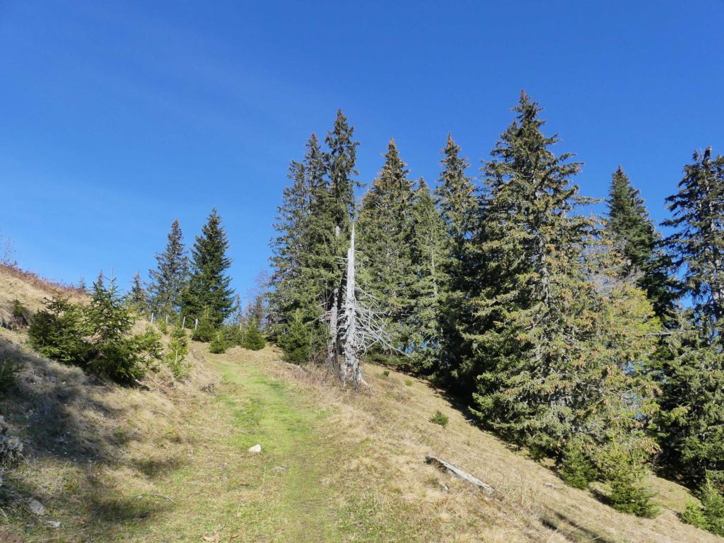 jor-col-de-soladier-plan-de-chatel-sonloup-163